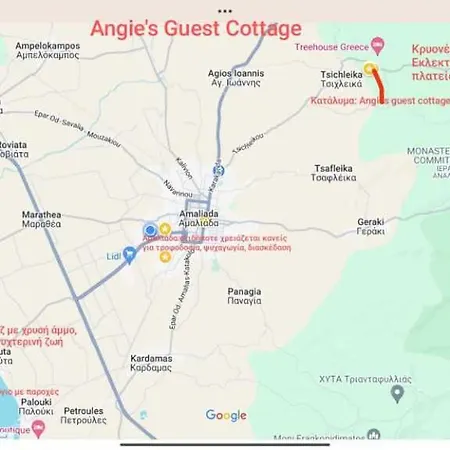 Angie's Guest
